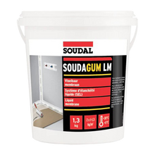 Load image into Gallery viewer, Soudagum LM (White) Pail